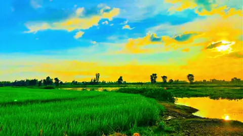আমার বন্ধু আমার কথা একবার না ভাবিলো.....😩❤️‍🩹🌿#প্রকৃতি #sky #anfeezemyaccont #greenscreen #viral_video_tiktok 