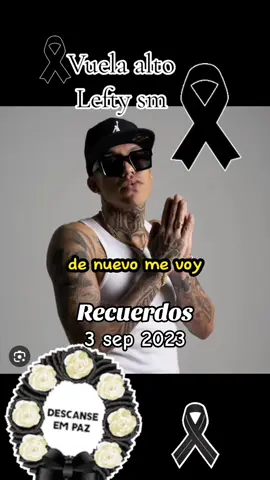 #Recuerdos vuela alto #leftysm 