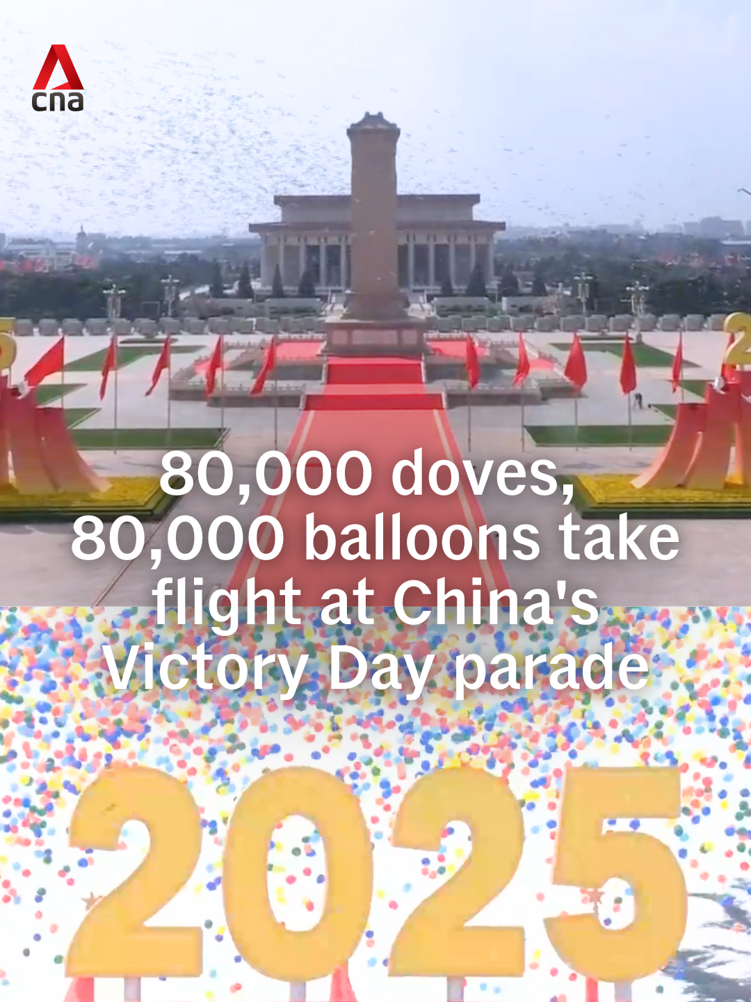 China concluded its Victory Day parade by releasing 80,000 doves and 80,000 balloons into the sky over Tiananmen Square in Beijing on Wednesday (Sep 3). The grand military parade marked the country’s 80th anniversary of the end of World War II.   Goose-stepping troops, armoured vehicles and roaring fighter jets took centre stage during the parade that was witnessed by a high-profile guest list including Russian President Vladimir Putin and North Korean leader Kim Jong Un. #china #chinanews #victorydayparade