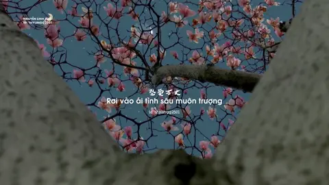 “就算这一世 万劫不复, 也仍要和你 纠缠.” Dẫu đời này vạn kiếp bất phục, cũng nguyện cùng người dây dưa chẳng rời. | #nhactrungquoc #douyin抖音 #lyrics #hienngu #这世间我唯独爱你 🎧