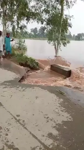 سیلاب کو پاکستانیوں سے خطرہ  #fypシ゚viraltiktok 