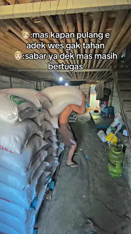 sabar sek to😫#peternakmuda #broiler #ayambroiler #ayampedaging #broilerfarm 