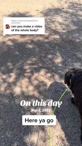#onthisday 