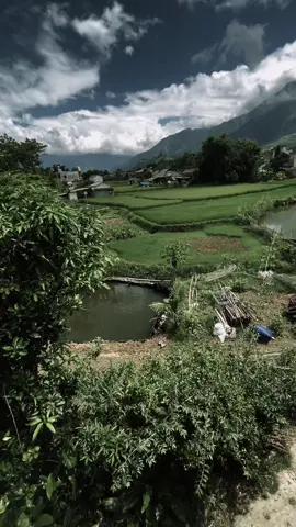一点阳光怎能盛夏,一点奇爱怎能留 住一个人! 