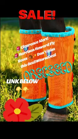 Keep your horse protected from flies in style 🐎✨ Harrison Howard Fly Boots are on clearance now—grab them before they’re gone! 🛒  #HorseCare #FlyBoots #BarnEssentials #ClearanceSale #EquestrianDeals 