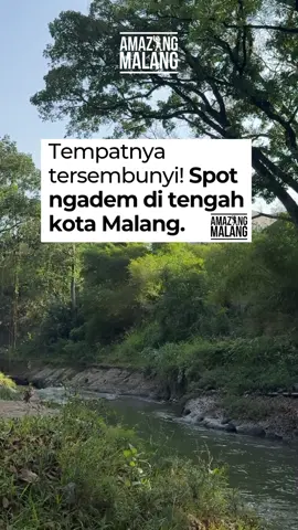 Ditengah keadaan seperti ini kita support UMKM & warung-warung sekitar! 🩷💚 Ada salah satu spot ngadem tengah kota yang masih jadi favorit warga Malang sampe sekarang. Ada yang tau dimana?  Follow @Amazingmalang, kumpulan cerita Malang yang seru & hangat 🙌🏻  #amazingmalang #infomalang #kulinermalang 