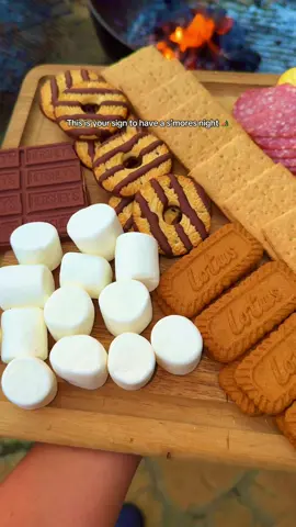 This is your sign to have a s’mores night 💕  #familynight 