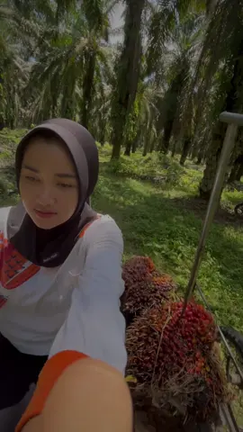 Untung ga kena irung aing 😭😭🫵 #fyp #petani #petanimuda #kulisawit #petanisawit 