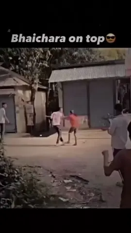tora jila ke rangdar xiwu