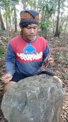 Uang goep