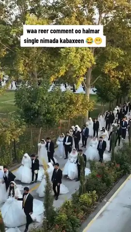 #viraltiktok 