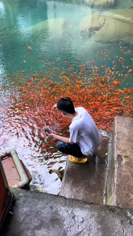 Cuộc sống của mình mà, dù chạy, đi, bò và cả khóc nữa thì mình vẫn phải tiến về phía trước mục tiêu của mình..!
