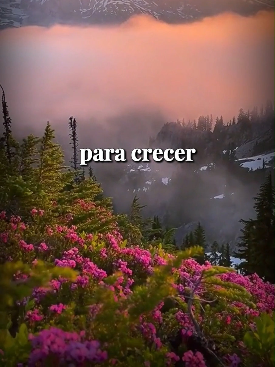 Buenos días, Dios. Hoy es miércoles, 3 de septiembre. 🙏🏼 En este mundo tan ruidoso, tener un momento de paz es un regalo.  En mi biografía te comparto una app gratuita que me enseñó a encontrar esos momentos, incluso en días difíciles.  Quizá hoy sea un buen día para probarla. - - - #oraciondeldia #jesus #dios #buenosdias #miercoles 