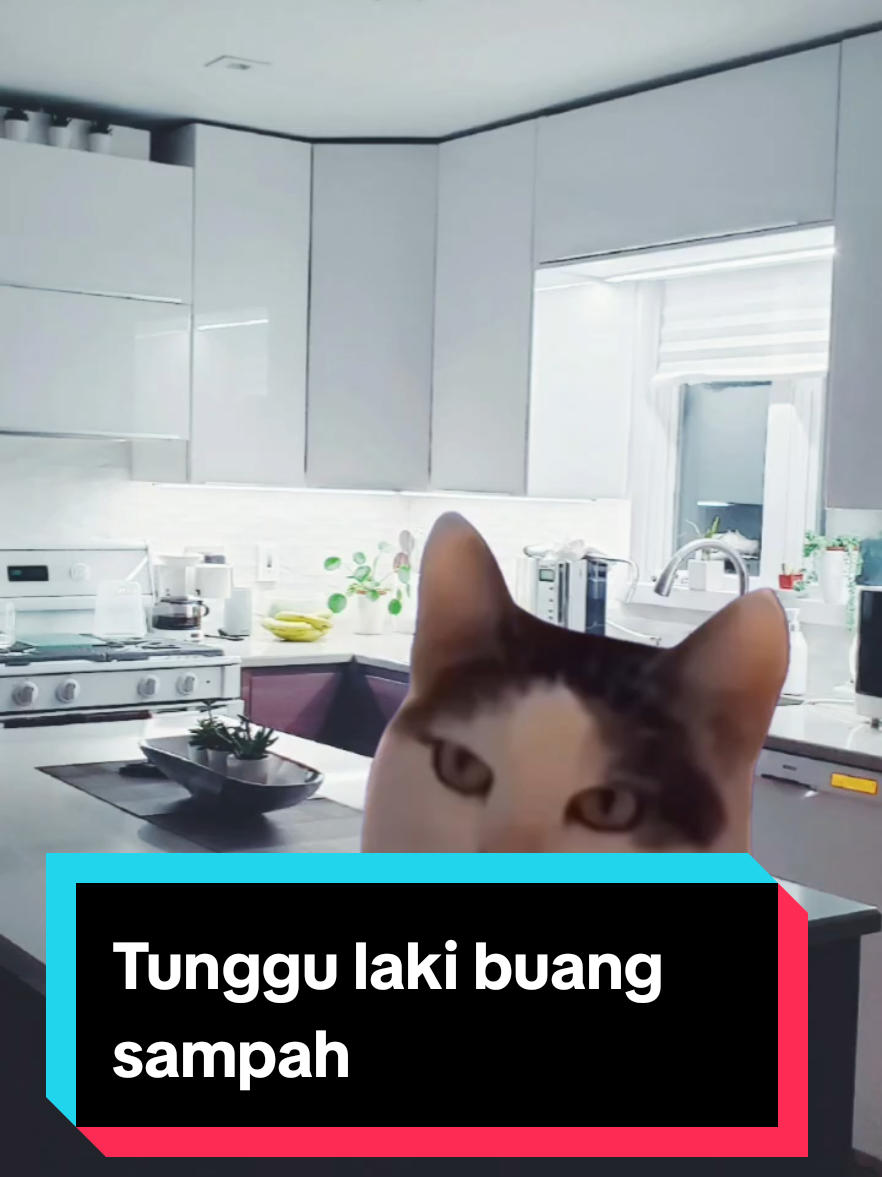 Selagi tak buang, selagi tu aku tenung#lawakhambar #ragamlakibini 