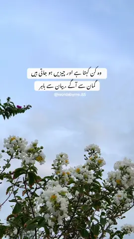 صباح الخیر 🤍 جھولیاں بھر دی جاتی ہیں اور دینے والا نظر بھی نہیں آتا #morning #qoutes #fyp #foryou #viralvideo 