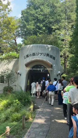 ジブリの世界が1000円で味わえる何回でも訪れたい場所🩰 #三鷹の森ジブリ美術館 #ジブリ #ghibli #おすすめ #fyp  @翠幻 