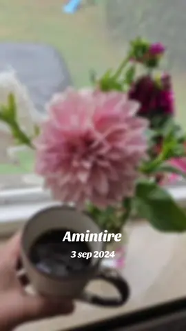 #amintire