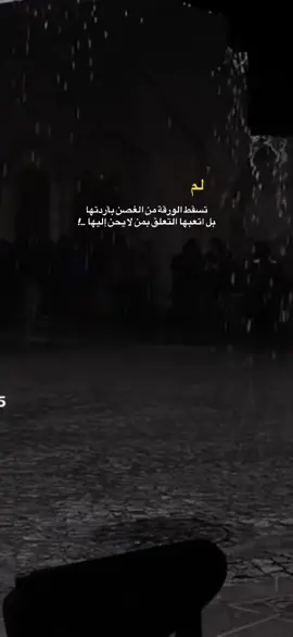 #اكسبلور #fyp #استوريات🖤mix🥀 