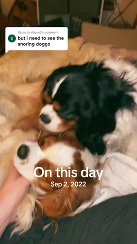 #onthisday 