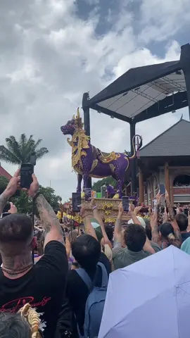 pelebon puri ubud.