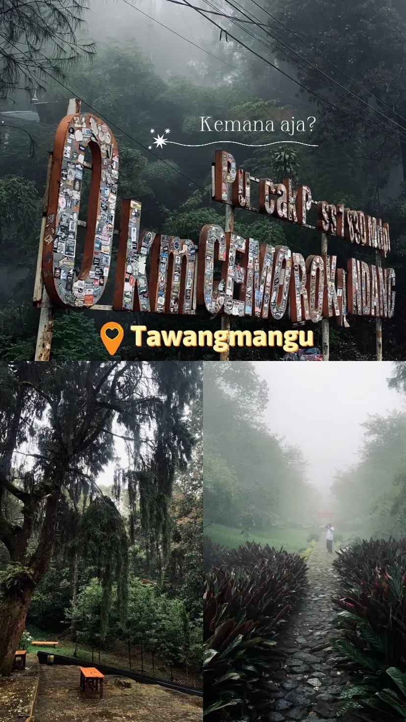 📍Taman Sakura Sakral Tawangmangu #tawangmangu #tamansakraltawangmangu #cemorokandang #fyp 
