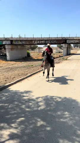 Dando el Roll por Montebello.