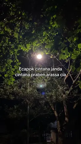 #katakatamadura #quotesmadura  #xyzbc #masukberanda 