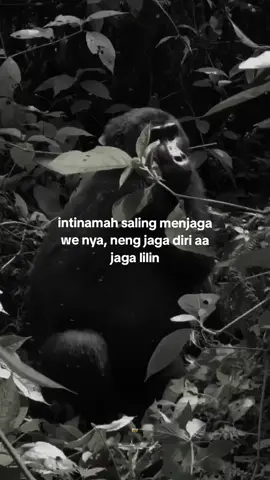 hati² nya neng 🥰 #capruk #storysunda #monyetgalau #atuheuy 