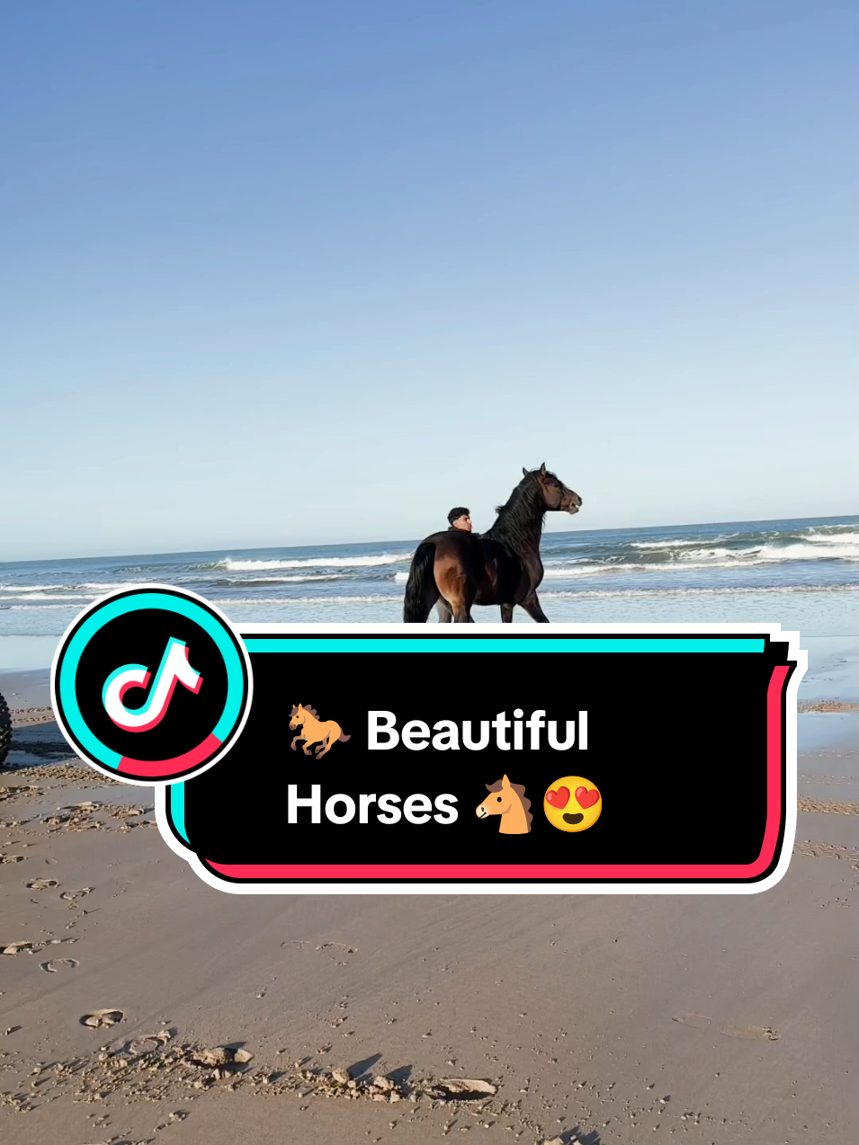 🐎 Beautiful Horses 🐎@ADELE💋 @ADELE💋 #Love #trending #1million #fyp #foryoupage 