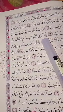 ||سورة مريم||  واذكر في الكتاب مريم إذ انتبذت من اهلها مكانا شرقيا فاتخذت من دونهم حجابا فارسلنا اليها روحنا فتمثل لها بشرا سويا #viraltiktok #video #tiktokindia #fy #greenscreen 