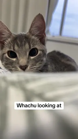 Don’t look at me 