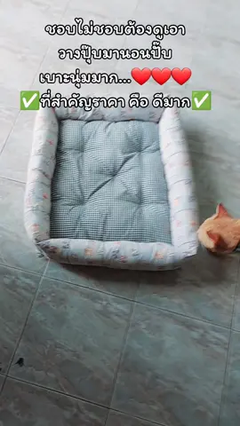 #เบาะรองนอน #ที่นอนสัตว์เลี้ยง 
