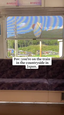 Like to stare out the window on the train. #japan #japantrip #japantravel #japanvibes #japanlife #countryside #gifu #日本 #夏 #田舎 #旅 #岐阜 