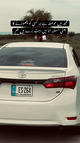 Samjh rhy ho na beta 😮‍💨💀#264 #dani @💸 SHAHZAIب MAلIK 💸 