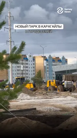 🌳 В Семее строится новый парк площадью 5 га. Уже высажено 500 сосен, ведётся озеленение, мощение дорожек и установка освещения. Парк будет с аллеями, сценой, зонами отдыха и павильонами. Завершить работы планируют ко Дню города🌉