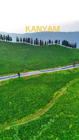 Kanyam Ilam view❤️ #viral  #foryou #jhapa #fyp 