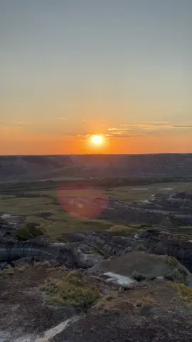 I am the King of Horsethief Canyon 👑🦖#Badlands #dinosaurs #Albertosaurus #tyrannosaur #cretaceous 