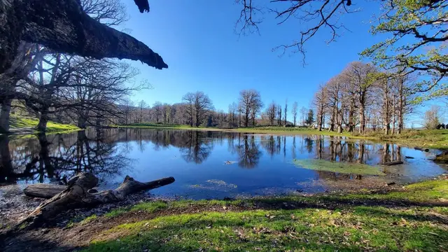 Au cœur de la forêt d’Akfadou, un lac paisible se cache entre les grands arbres centenaires. 🌳💦 Son eau claire reflète le ciel et les montagnes, créant un tableau vivant où la nature s’exprime dans toute sa beauté sauvage. Un véritable joyau de Kabylie, où silence et sérénité règnent. 🏞️✨#akfadou  #kabylie  #algerie🇩🇿 #dz #fyp 