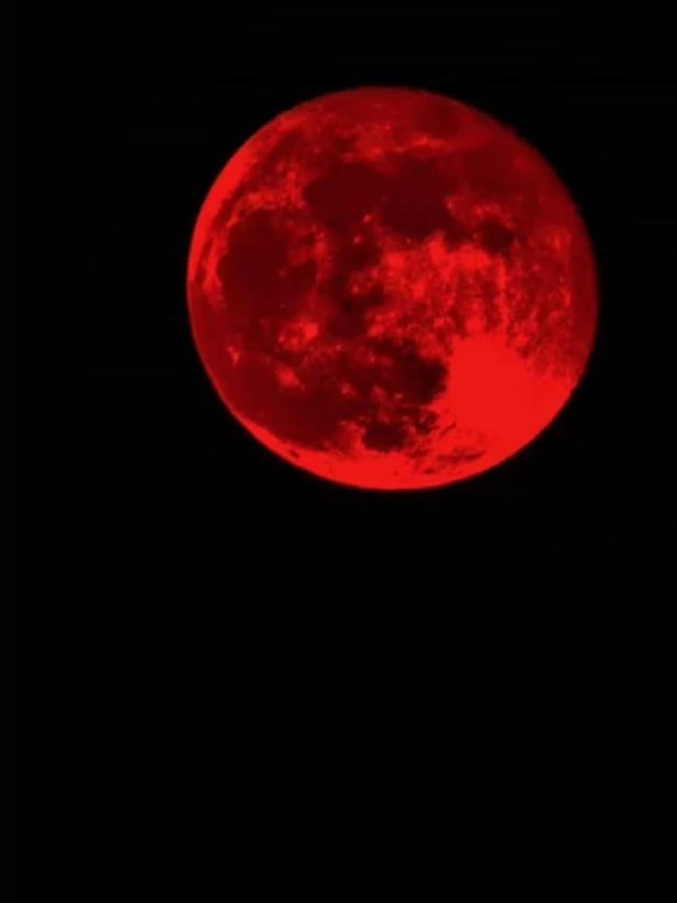 7 September 2025 Blood Moon Dalam gerhana bulan total, perubahan warna bulan terjadi secara bertahap. Awalnya, bulan perlahan kehilangan cahayanya ketika memasuki penumbra. Saat bulan masuk ke umbra, momen itu mengubah warnanya menjadi merah tua, oranye, sampai tembaga. Fase puncak yang disebut totalitas bisa berlangsung antara 30 menit hingga lebih dari satu jam.  Setelah itu, bulan secara perlahan kembali bersinar terang saat keluar dari bayangan Bumi. Menurut para astronom, ada tiga jenis gerhana bulan.  #gerhanabulan #faktaunik #7september #bloodmoon #fyp 
