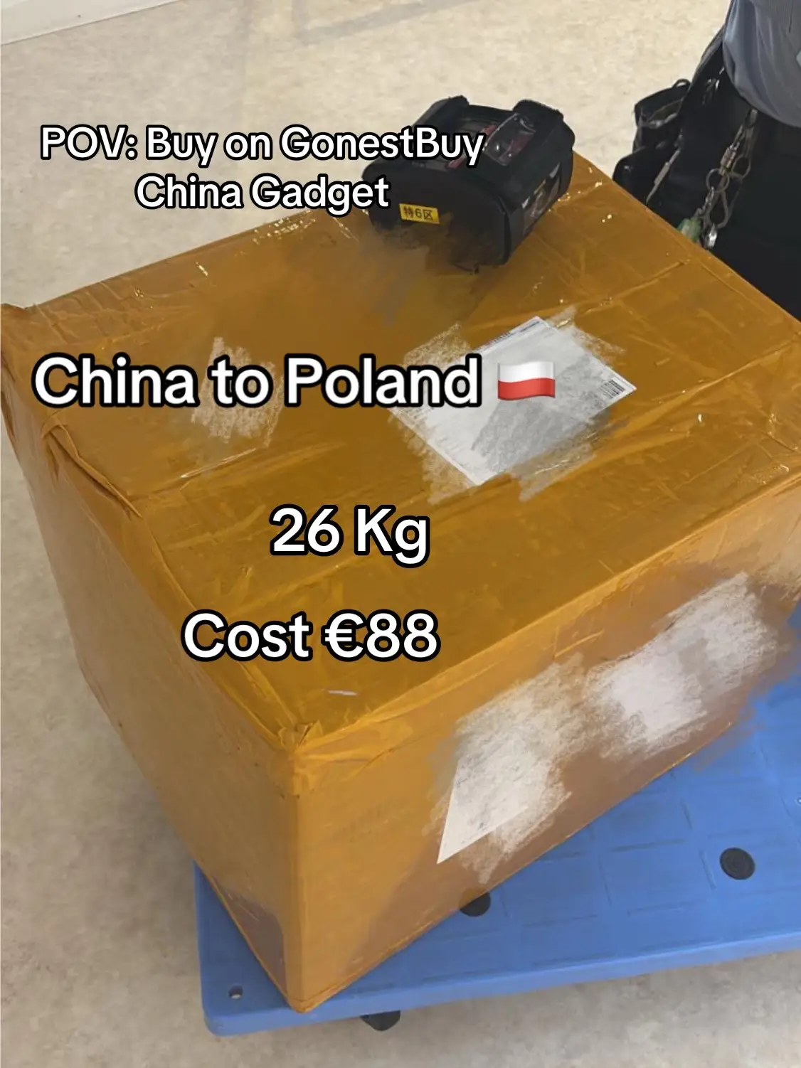 #Poland #Gonest 