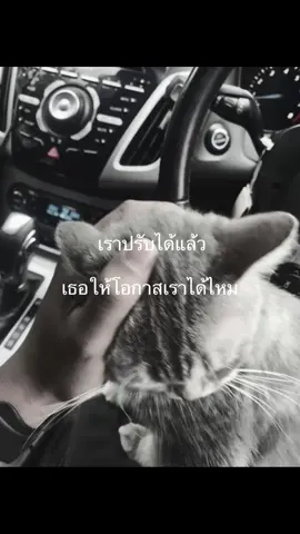 ขอโอกาส #เธรดเศร้า #เธรดความรู้สึก #ฟีดดดシ #fyp #แฟนเก่า 