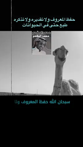 ‏حفظ المعروف وتذكره طبع حتى في الحيوانات #شعراء_وذواقين_الشعر_الشعبي #حكم_وأمثال_وأقوال #الخوف_من_الله_والباقي_علي_الله #شعر #محمد_المقحم 