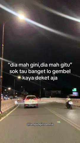 #lampung04insomnia #teratai04insomnia 