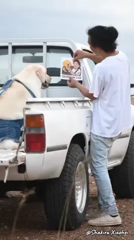 Ketika Diet baru saya lupa ... Daddy in Car 