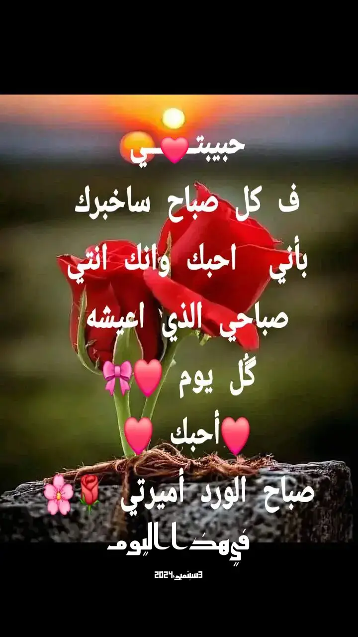 #في هذا اليوم 