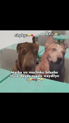 waa la jabay 😭💔🙆🏽‍♂️#foryoupage #veiwsproblem😶💔 #fpppppppppppppppppp #viral_video #fyyyyyyyyyyyyyyyy 