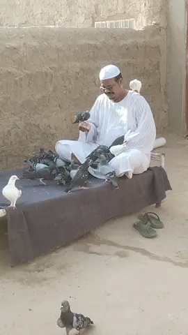 #الشعب_الصيني_ماله_حل😂😂 