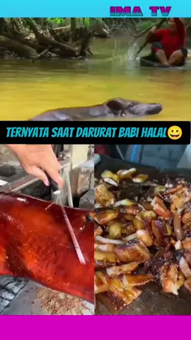 babi halal saat darurat tidak ada lagi makanan lain #fypage #viralvideos #fyppppppppppppppppppppppp 