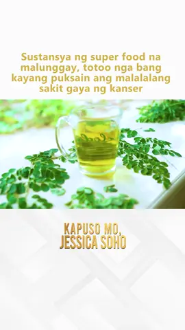 Sustansya ng super food na malunggay, totoo nga bang kayang puksain ang malalalang sakit gaya ng… kanser?! #KMJS | Kapuso Mo, Jessica Soho
