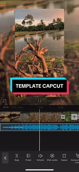 #CapCut lecan polka  #template #cinematic #vcho 